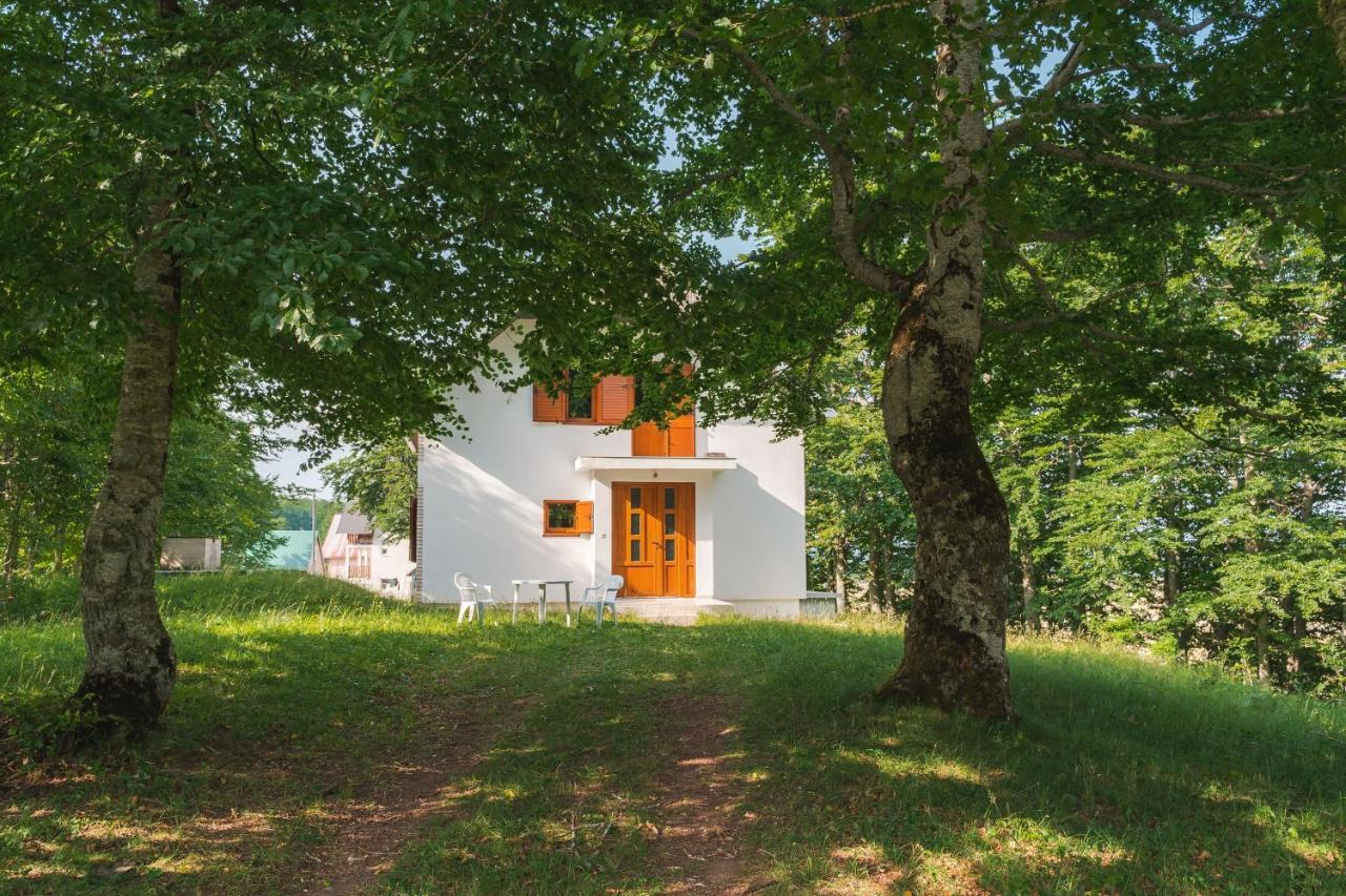 Highlander'S House Villa Žabljak Kültér fotó